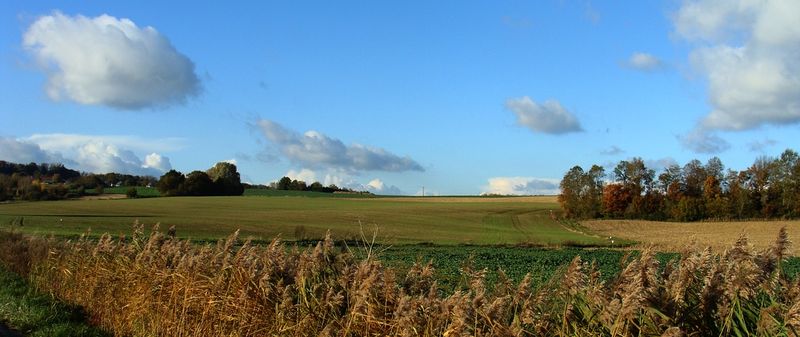  vue d'un chemin d'ugny le gay
