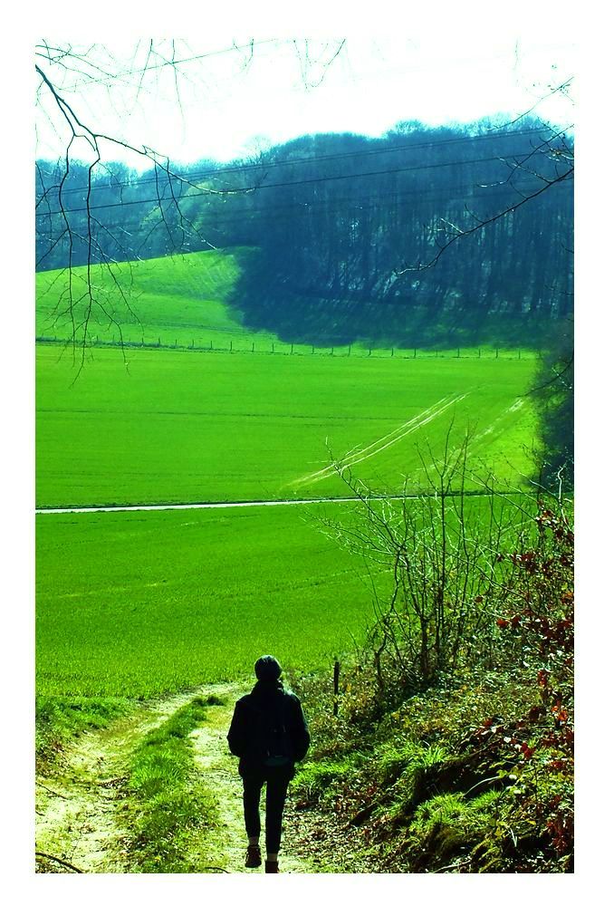 plan du chemin de beaumont
