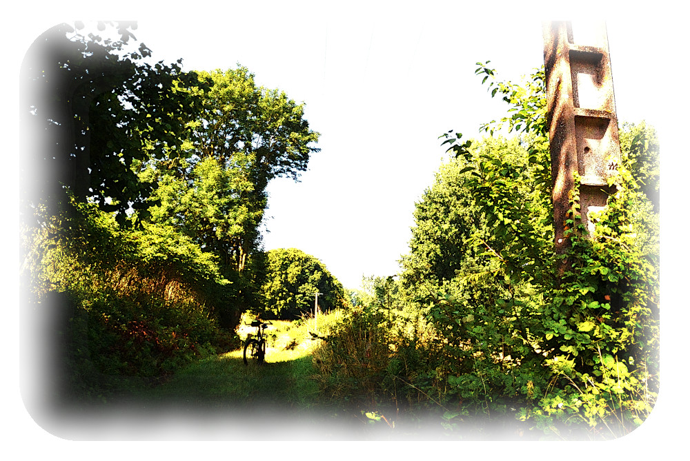 un chemin d'Ugny le Gay entouré de broussailles...