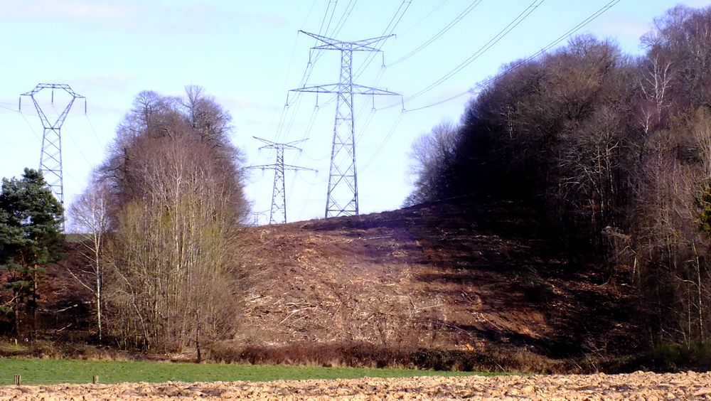 les colis des vieux de 2024 et 2025...